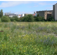 Upcoming Events:

Ghosts and Monsters: Reconstructing Nature on the Site of the Berlin Wall - TALK

14 March 2023 - 16:00-18:00

Speaker: Matthew Gandy
Role: Professor of Cultural and Historical Geography
Organisation: University of Cambridge

Link: events.manchester.ac.uk/event/event:i1…