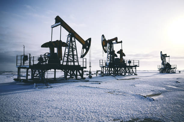 WhitehornCap's tweet photo. Happy Monday everyone, our weekly energy service newsletter is up! https://t.co/x0rHk3qmA8

#Energy #Oil #Gas https://t.co/jVPLDvOl8z