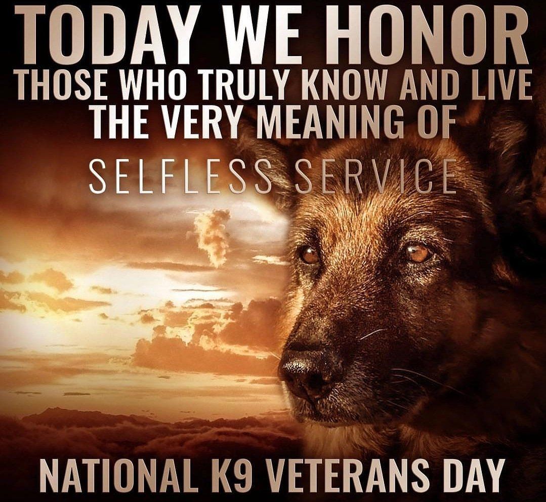 BEST Day  of the year right here! Happy #K9VeteransDay. Thank you to all the puppers that serve and protect to keep us safe! 🇺🇸🐕#NationalK9VeteransDay