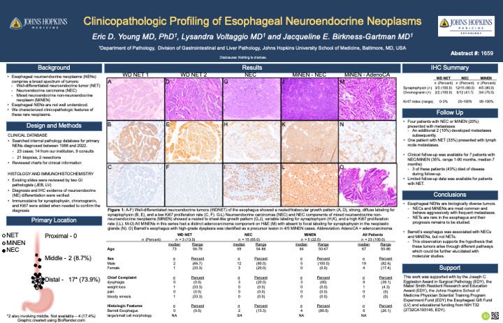 Clinicopathologic Profiling of Esophageal Neuroendocrine Neoplasms