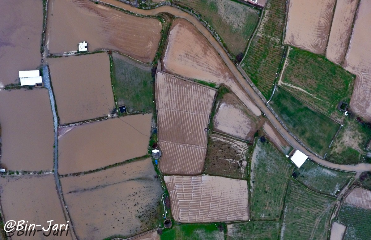 التقطت عدسة <a href="/Bin_Jari/">عبدالله بن جاري</a>  مساء اليوم الإثنين وعلى ارتفاع ٢٨٠م هذه الصور للمناظر  الخلابة لوسط محافظة #النماص حيث تشكل المدرجات الخضراء، ومياه الأمطار، لوحة فنية إبداعية من صنع الخالق عزوجل.