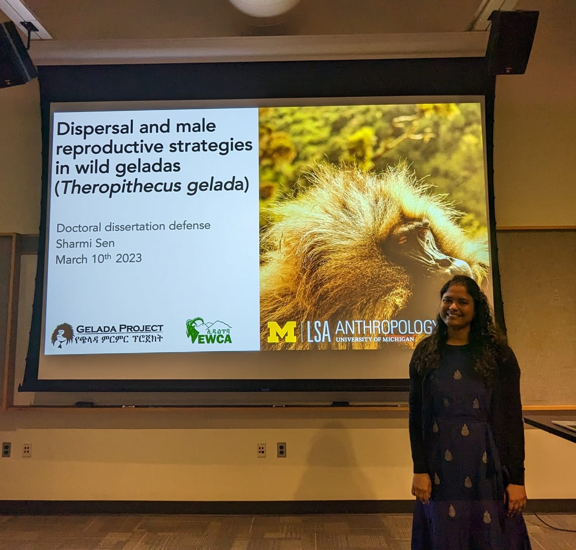 Sharmi Sen, PhD (@cercopithe_sen) on Twitter photo Coming out of my Twitter hiatus to quickly share this! 🤺
I've had an incredible time working with geladas <a href="/GeladaResearch/">GeladaResearch</a> (+all the wonderful humans on this project) 🥺 🤗💞
Grateful for the mentorship & support from many people <a href="/UMich/">University of Michigan</a> and outside along the way! 🫶🏽
#PhDone ☺️ Coming out of my Twitter hiatus to quickly share this! 🤺
I've had an incredible time working with geladas <a href="/GeladaResearch/">GeladaResearch</a> (+all the wonderful humans on this project) 🥺 🤗💞
Grateful for the mentorship & support from many people <a href="/UMich/">University of Michigan</a> and outside along the way! 🫶🏽
#PhDone ☺️