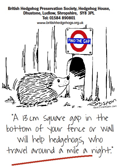 Can you create a hedgehog highway? If you do please remember to log it on The BIG Hedgehog Map at bighedgehogmap.org - you can also log your hedgehog sightings there! The map is part of our Hedgehog Street project with @PTES
