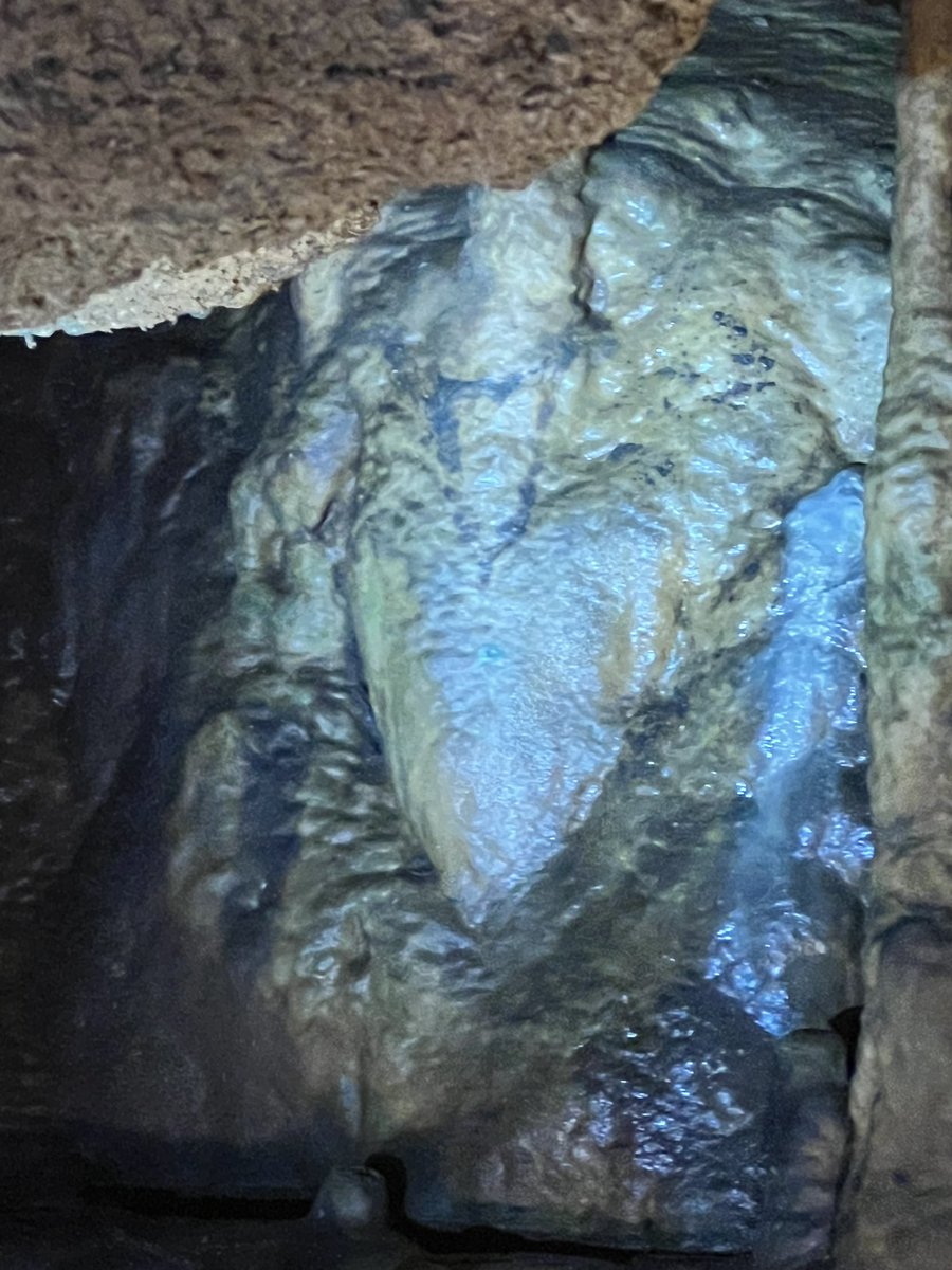 Went spelunking this weekend at the Florida Caverns State Park.  We only got to enjoy the caverns as the weather took a turn for the worse as we were emerging from the cave.