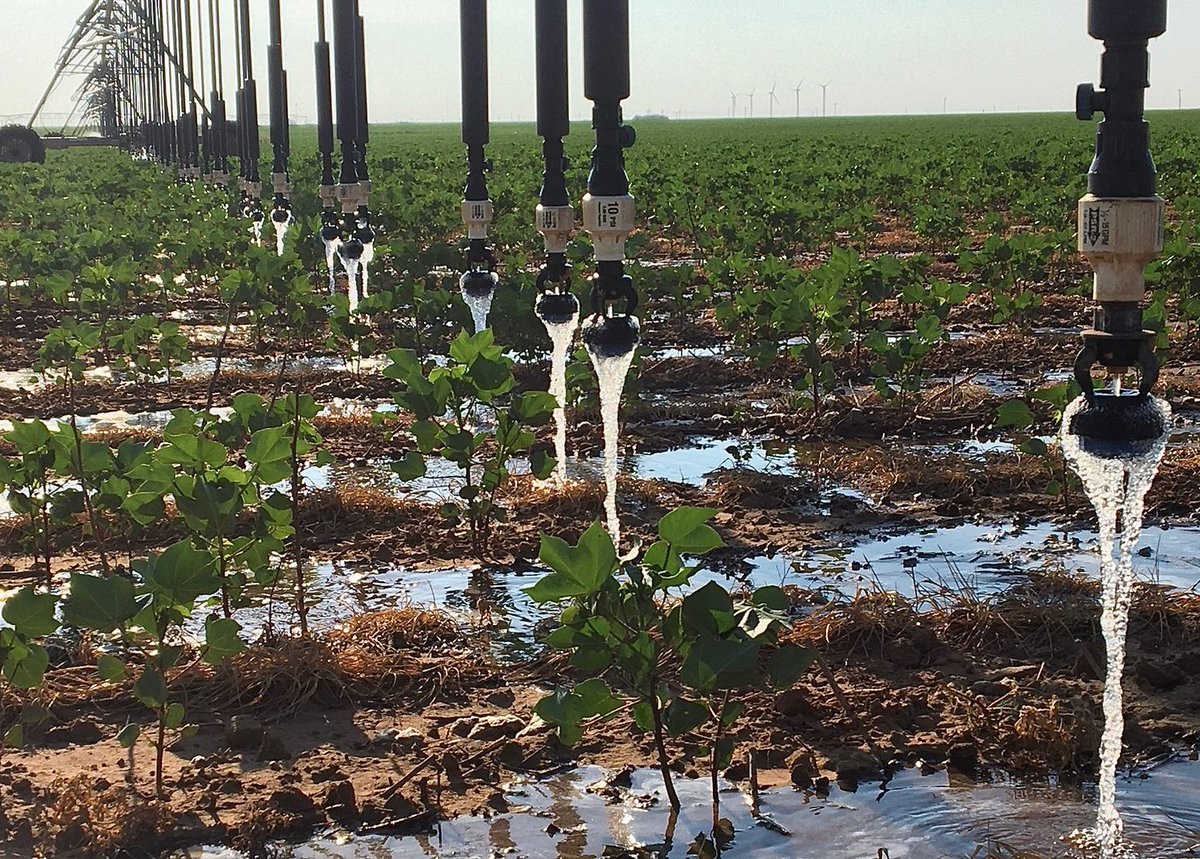 KJagadish_TTU's tweet photo. Water Sustainability in West Texas. 🙏🙏to Tito's Handmade Vodka for Supporting our Efforts Towards Enhancing Water Productivity &amp; Sustainability in the Southern High Plains @TAWC_TTU @TTU @ClintKrehbiel @CL_Bratcher  https://t.co/nj3tffJpzl https://t.co/lHu6Zuw7Fh