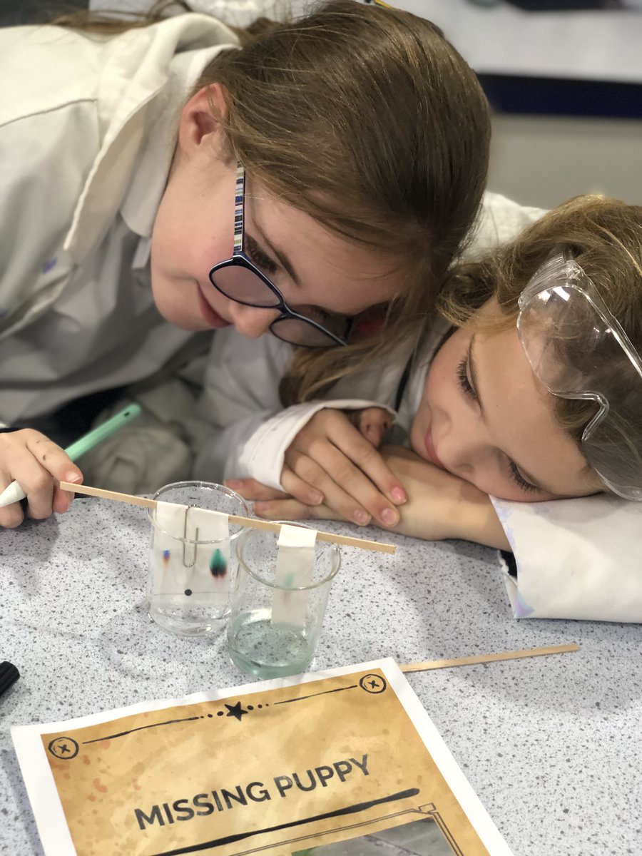 Attempting to solve the stolen puppy crime by using chromatography to identify the ink used in the ransom note
#BritishScienceWeek 

#BritishScienceWeek2023 

#BeYourBEST
<a href="/DukesEducation/">Dukes Education</a> 
#ScienceTeacher
#WomenInScience