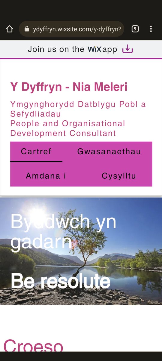 NiaMeleri's tweet image. Mynd amdani - lansio fy Ngwefan i ehangu ar waith annibynnol! Gallwch weld y gwasanaethau rwyf yn cynnig ac adborth gan nifer helaeth o bobl rwyf wedi cael y fraint o gyd-weithio gyda'n ddiweddar. 
#arweinyddiaeth #annibynnol #busnes
#cymraeg #ymgynghori
ydyffryn.wixsite.com/y-dyffryn?fbcl…
