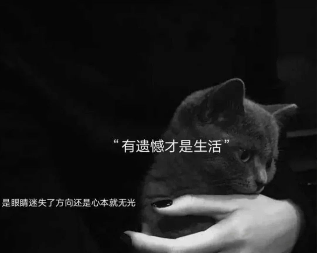 fangcy666's tweet photo. “有人爱晚风中绽放的花，小巷里乱窜的猫，独自一人看日落，看大海，每个人真诚而又不失浪漫的热爱着自己所热爱的。“ https://t.co/wHjCQeo1oU