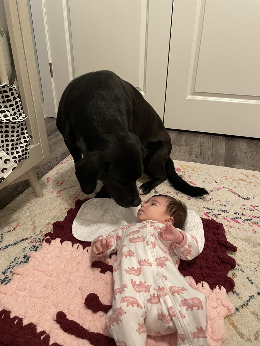 shelbyswhite23's tweet photo. @bunsenbernerbmd Macklin has received many complaints regarding boundaries and physical space https://t.co/54p97Pdrth