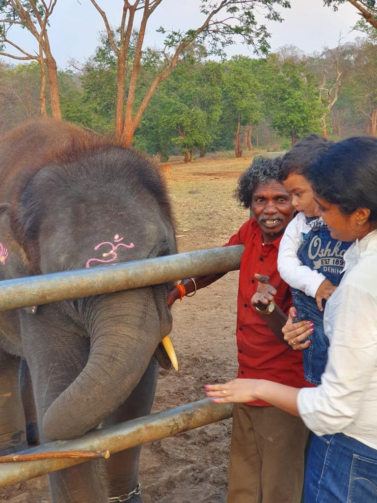 ChekkaKarnan's tweet photo. Still remember the way Bomman, the real winner of the Oscar award, has introduced raghu and ammu to us. #TheElephantWhisperer #Oscars2023 #Mudumalai #throwback @rvkarnanifs @Collector_KNR https://t.co/UxuMeht6e8
