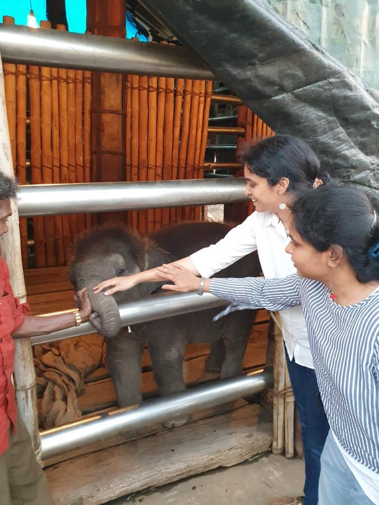 ChekkaKarnan's tweet photo. Still remember the way Bomman, the real winner of the Oscar award, has introduced raghu and ammu to us. #TheElephantWhisperer #Oscars2023 #Mudumalai #throwback @rvkarnanifs @Collector_KNR https://t.co/UxuMeht6e8