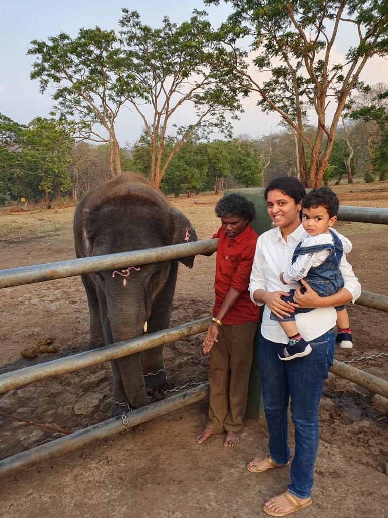 ChekkaKarnan's tweet photo. Still remember the way Bomman, the real winner of the Oscar award, has introduced raghu and ammu to us. #TheElephantWhisperer #Oscars2023 #Mudumalai #throwback @rvkarnanifs @Collector_KNR https://t.co/UxuMeht6e8