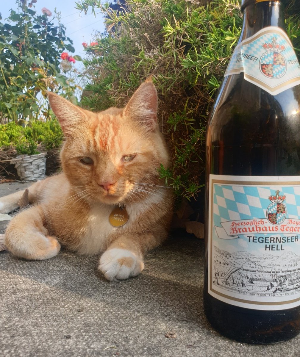 ArcadiaLeeds's tweet photo. @ourdoreen Always Tegs 🍺 #LetsBeerPositve 
#Tegernseer #BeerCats https://t.co/OYq8OVO9Nd