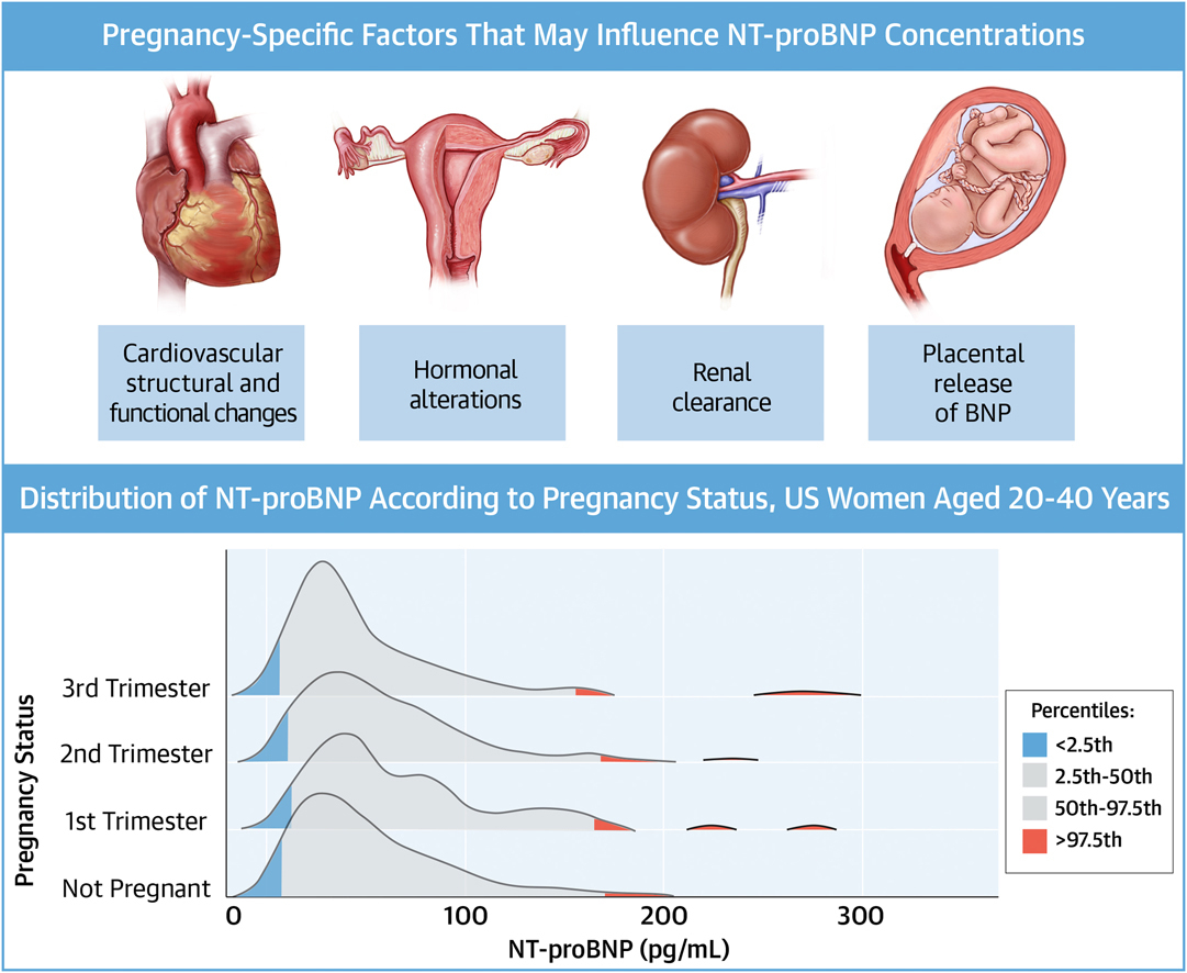JACC Journals On Twitter Women In 1st Trimester Of Pregnancy Had Sig jacc-journals-on-twitter-women-in-1st-trimester-of-pregnancy-had-sig