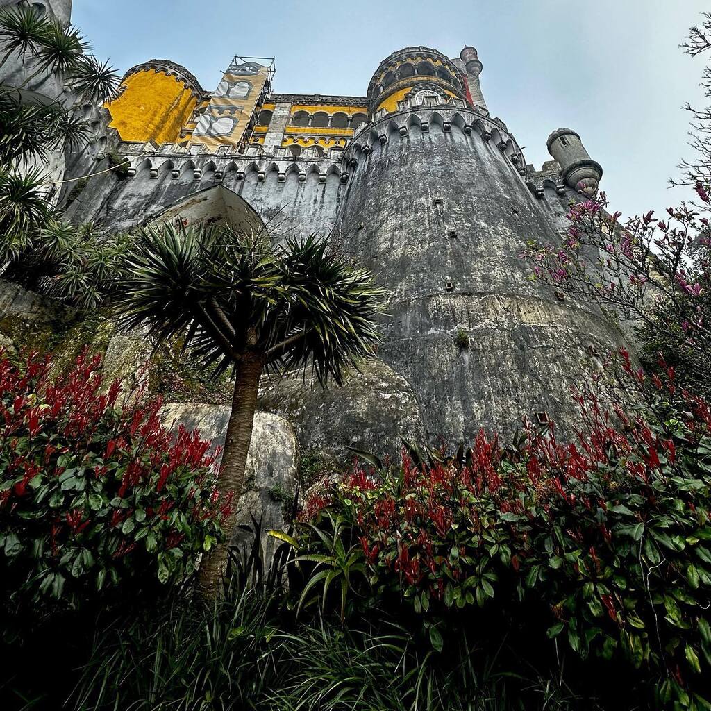 ddonoughe's tweet photo. We visited the Palace of Pena in Sintra. The palace is a UNESCO World Heritage Site and one of the Seven Wonders of Portugal.  On the way back, we stopped for lunch in Cascais a beautiful and wealthy city located on the Portuguese Riviera.

#sintraportug… https://t.co/duFporGaR1 https://t.co/6gLisvWSnG