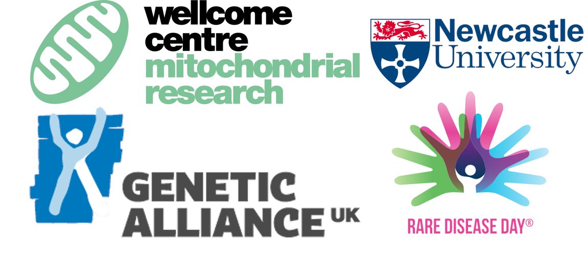 Mito Research tweet media