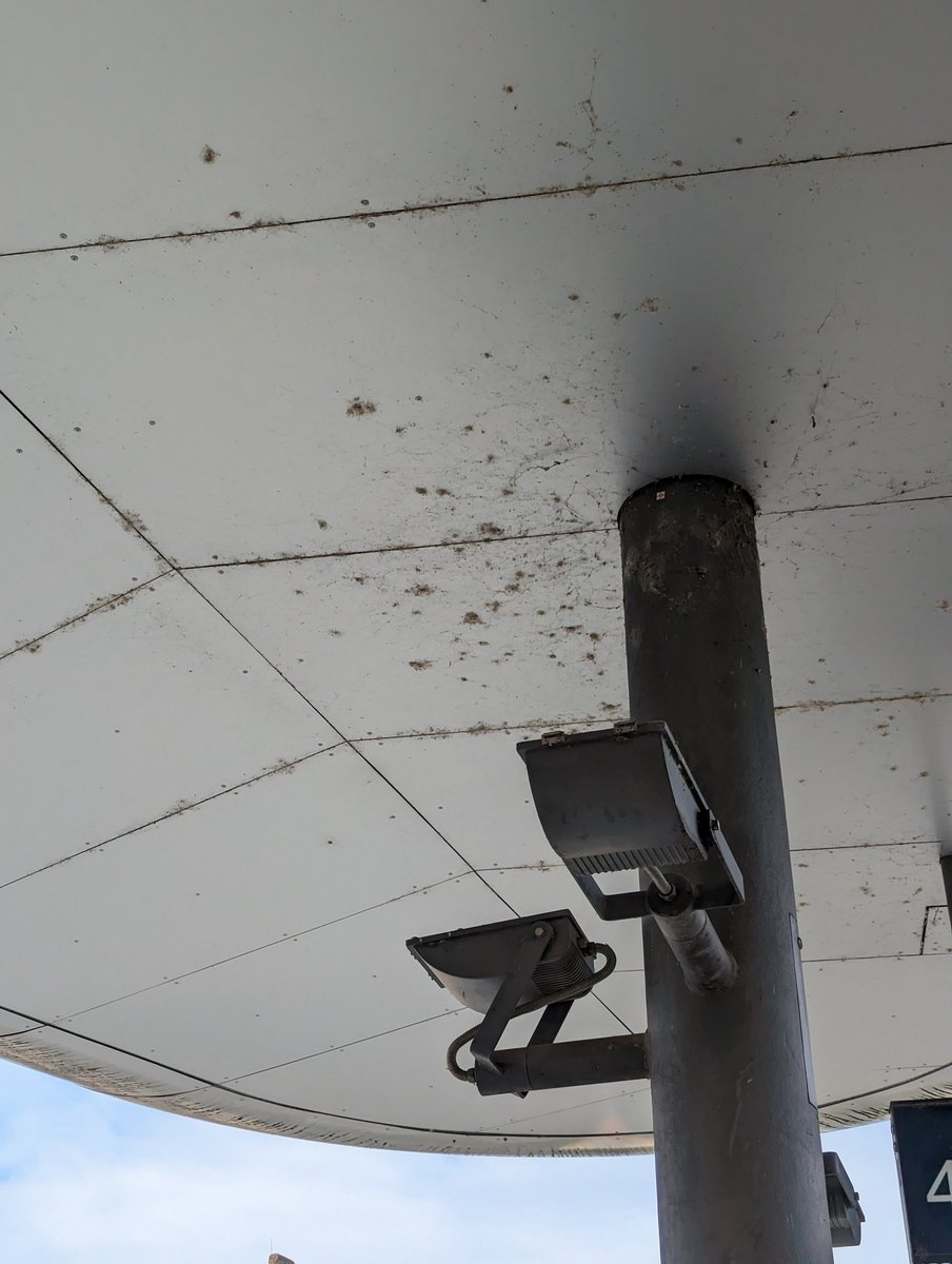 hitesarpi's tweet photo. @jenalichtstadt I am living in Jena since few years and I love every aspect of the city. As a responsible student I want Jena to look clean. I would like to see this bus shelter clean. Please support to make it reach the right personal. https://t.co/ImP6LRvsfU