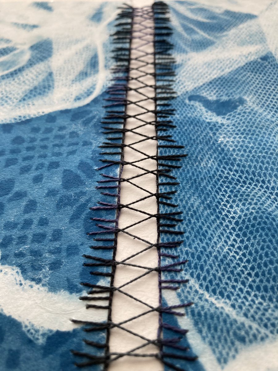 Ruth Singer tweet media