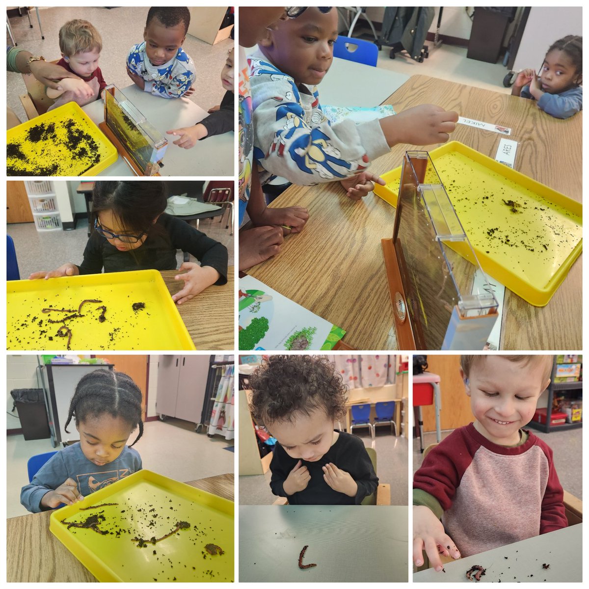 Dawn Irwin tweet media