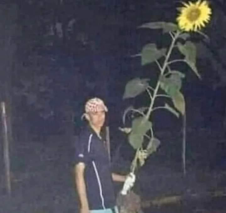 yo criticando a los cursis enamorados*

yo cuando m enamoro: