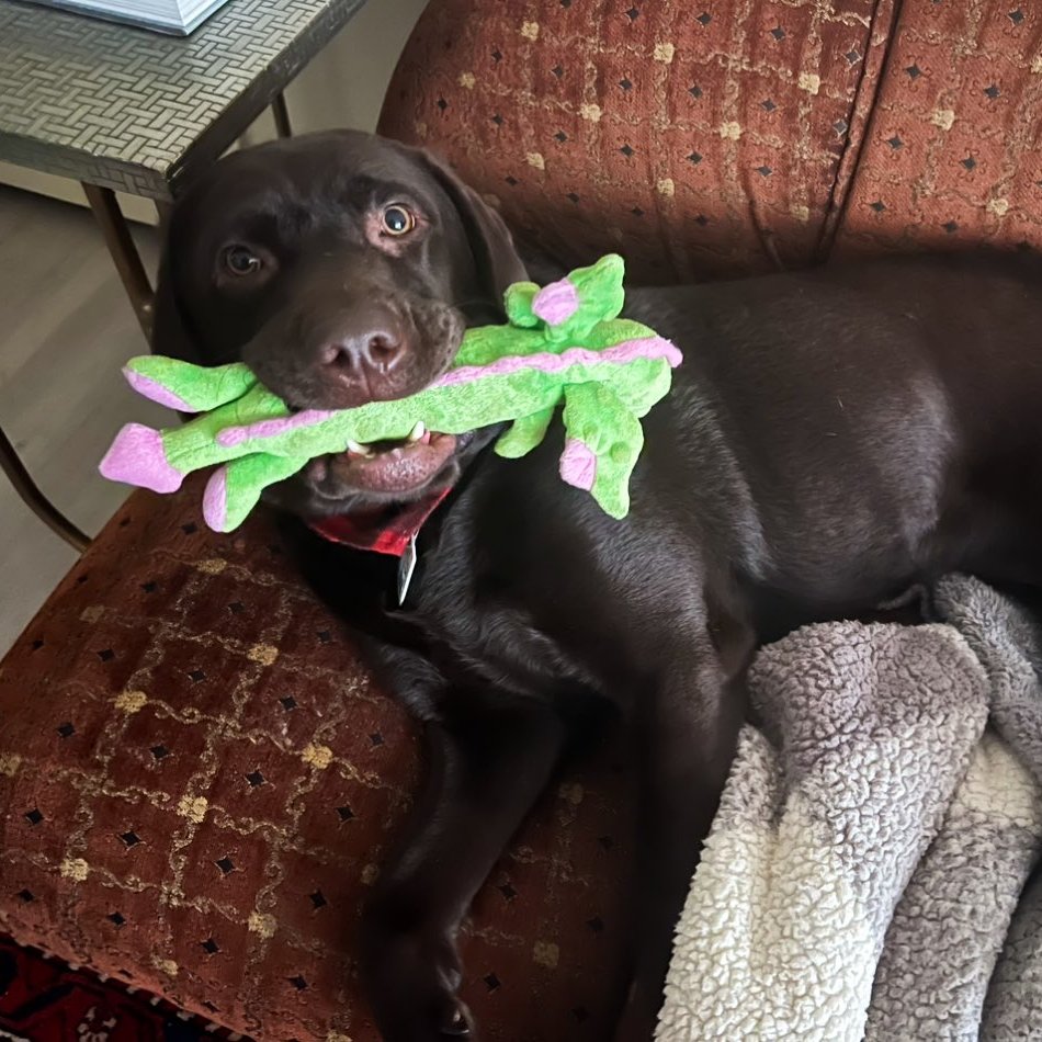 Rachel Weeks tweet media