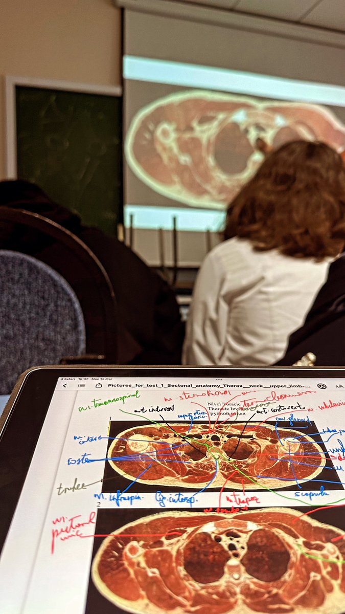 lorpsi7's tweet image. Let me tell you a thing about medicine…it’s a LOT sometimes TOO MUCH. Although it’s the only field I’m interested in. #Moldova #usmf #medicine #medicinestudent