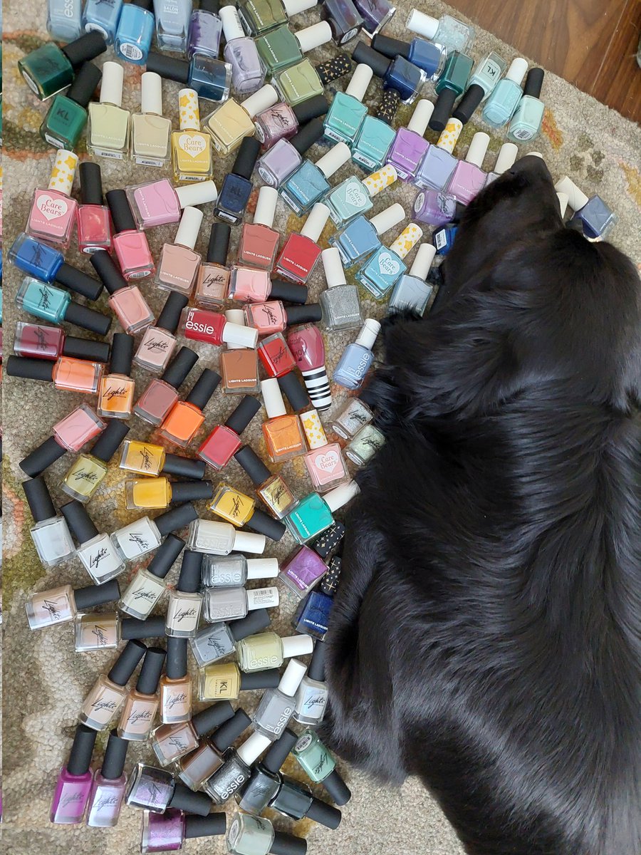 imnotsophancy's tweet photo. Atlas refuses to leave despite me trying to organize my nail polish collection. #LightsLacquer #ESSIE #Nailpolish https://t.co/t20CT2MA8k