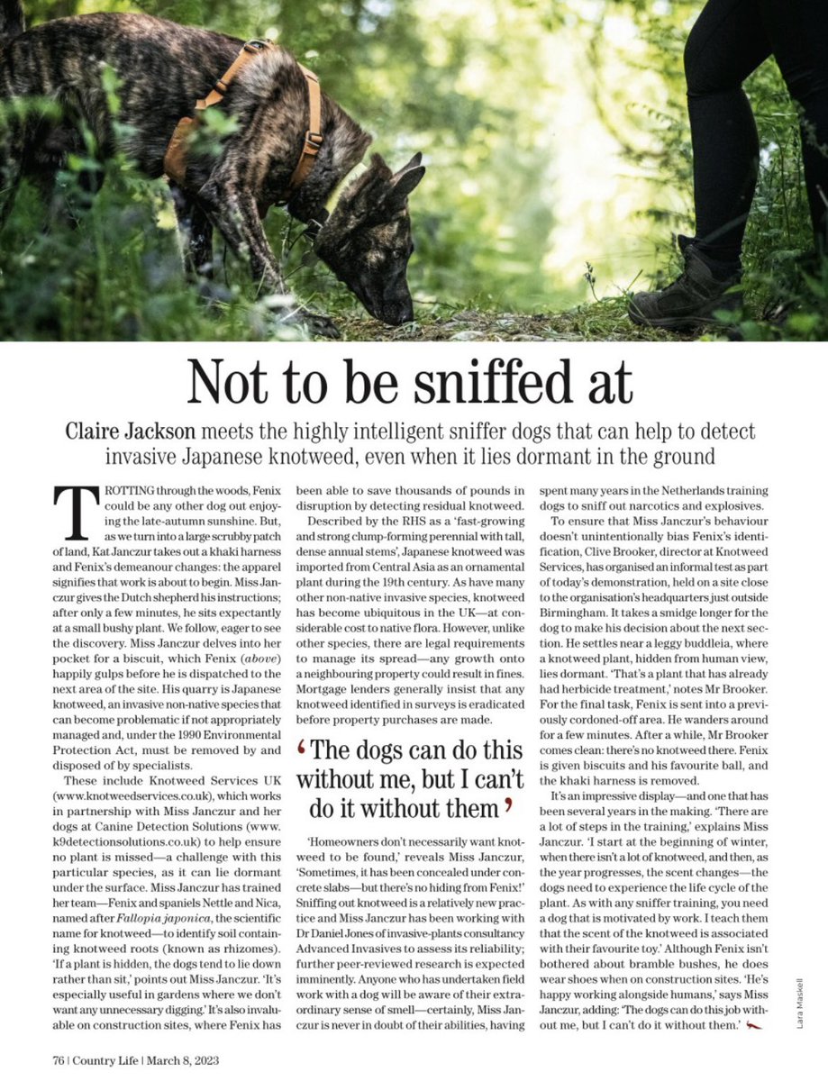 Canine Detection Solutions tweet media