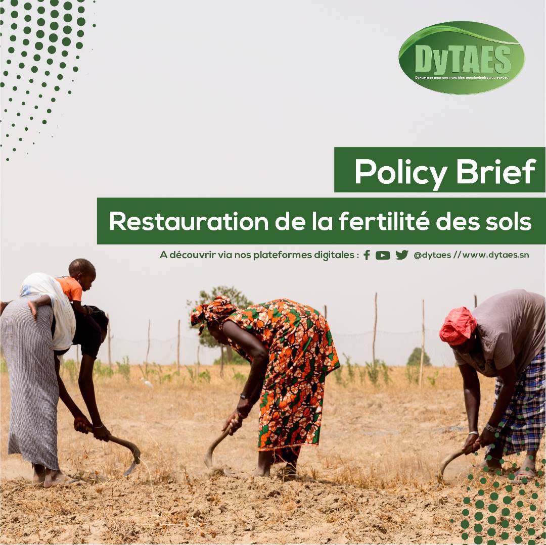 DyTAES's tweet image. Découvrez les #recommandations de la DyTAES à l’endroit de l’#Etat central et  des #collectivités #territoriales pour une #Restauration de la #fertilité des #sols 
➡️dytaes.sn/wp-content/upl…