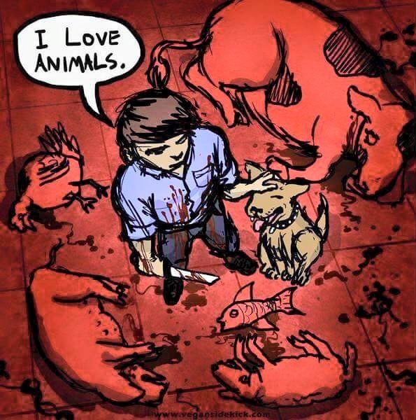 𝐩𝐮𝐧𝐬𝐡𝐚. 🇩🇿 tweet media