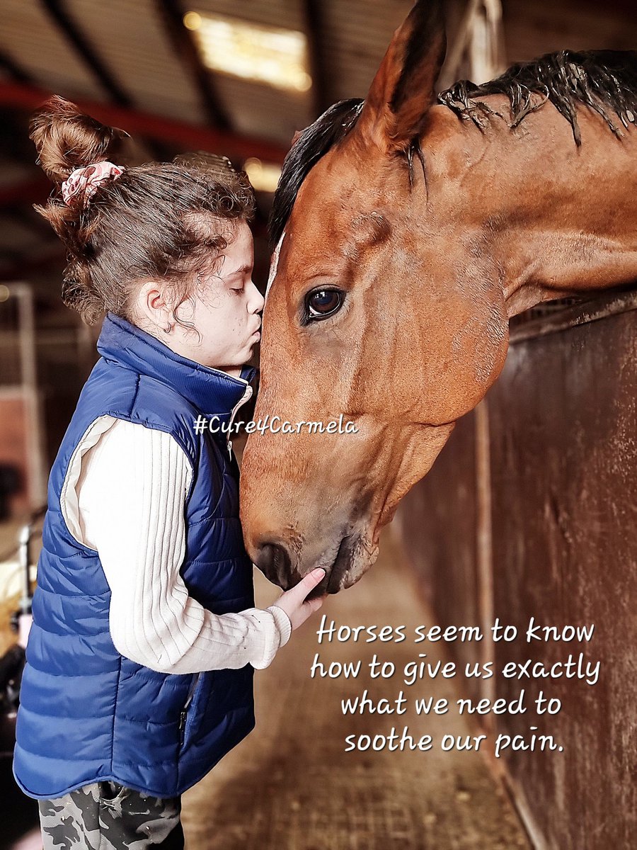 Cure4Carmela's tweet photo. Just what Carmela needed today. 🐴❤️

Thank you @MBlakeRacing 

#Liftedspirits #equinetherapy #horselove #horses 
#childrensmentalhealth #musculardystrophy #progressive #lcmd https://t.co/FFw4VRaf9p