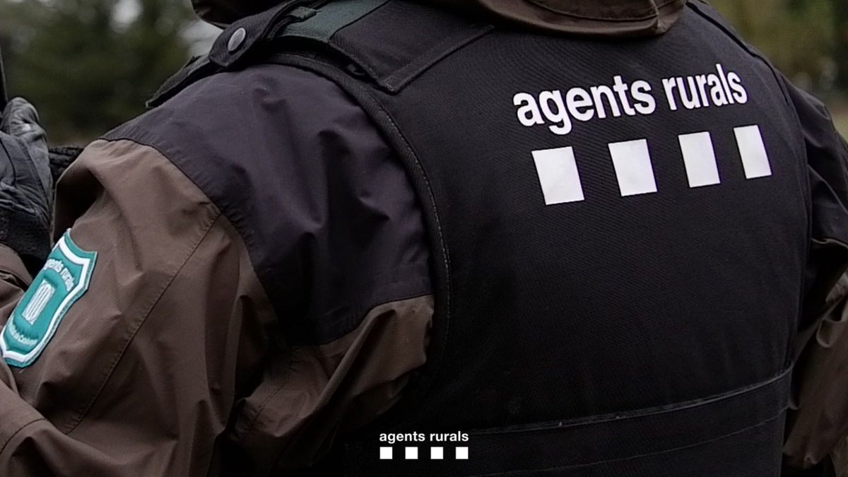 agentsruralscat's tweet photo. Agents del #GEVAcar denuncien una persona a la Vansa i Fórnols (Alt Urgell) per caçar de nit i fer ús de fonts lluminoses artificials, que li comissen junt l'arma.

❌ Aquestes infraccions, a més de sancions econòmiques, poden suposar la pèrdua de la llicència de caça. https://t.co/ffG2FRnazK