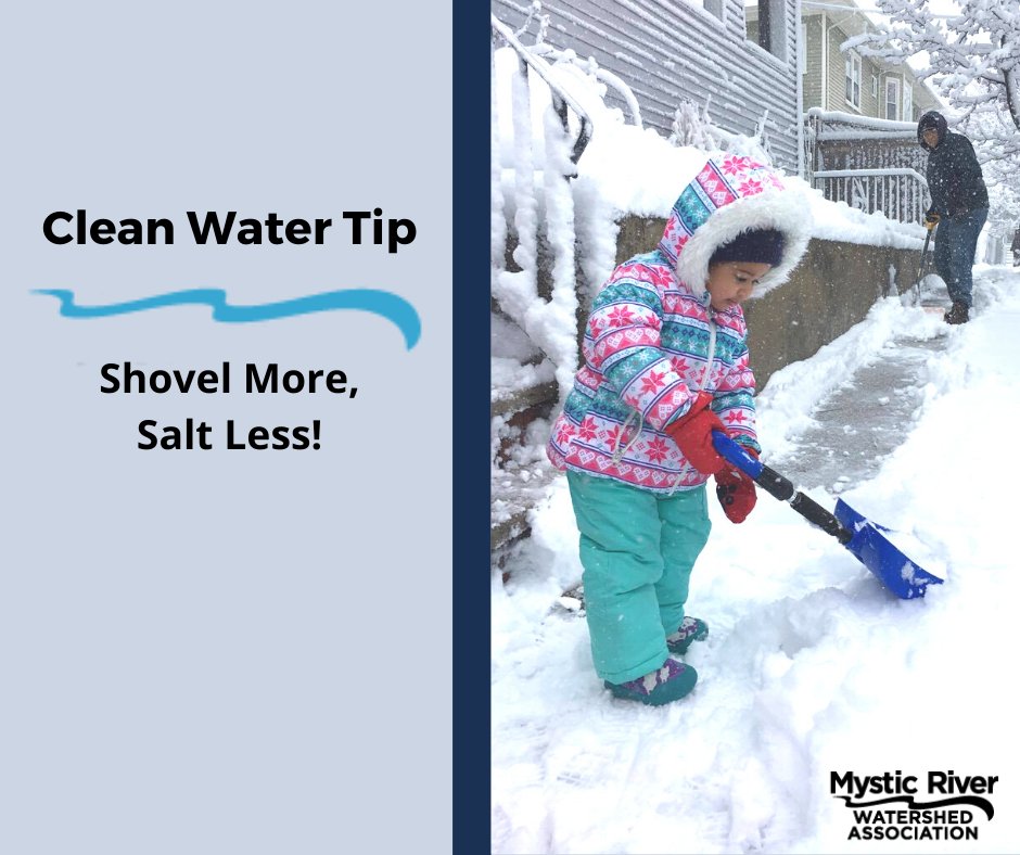 MysticMyRWA's tweet photo. Preparing for the storm? Keep this #CleanWaterTip in mind!

Shoveling first and using de-icer sparingly is a great way to reduce the amount of salt and de-icers that make into freshwater lakes and streams! ❄️

#stormwater #pollution https://t.co/q9YGFqa9db