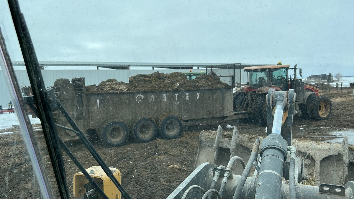 Schaef605's tweet photo. Last day of this shit. #kattle #AgTwitter #frostout https://t.co/escKlKPOBv