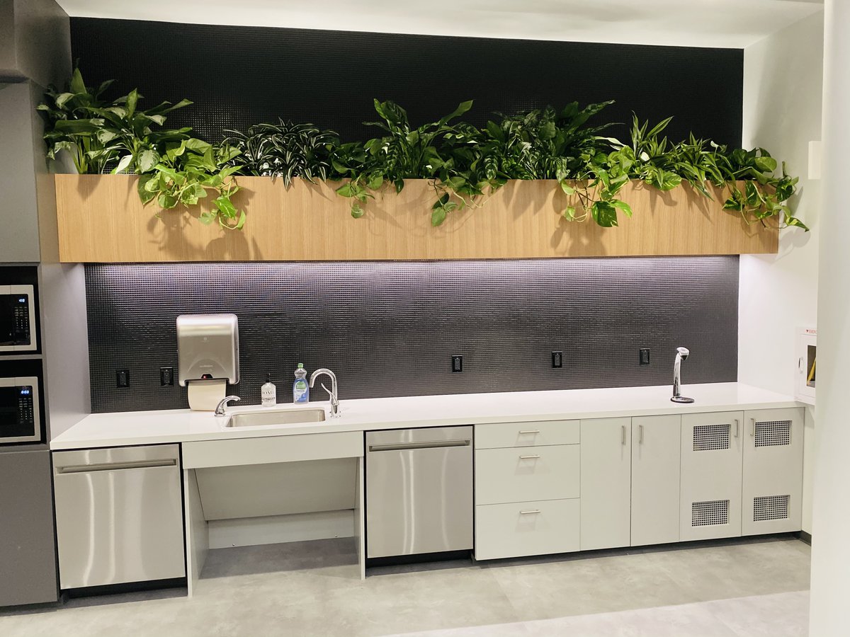 Botanical Designs tweet media