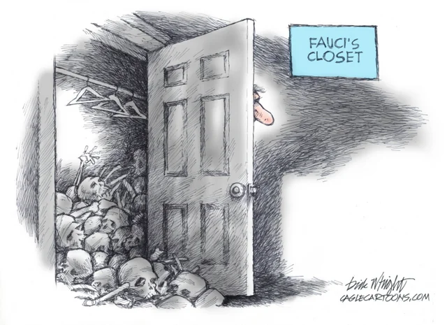 Ikennect's tweet photo. Fauci😡
@Ilegvm
@Pixie1z
@Its_Gav_7
@emaga44
@nanavet3
@USAVet_5
@locoashes
@Rammie24
@fsturgeonfl
@PatriotInSF
@PaulaRed62
@Queeny1946
@thejavawitch
@CreasonJana
@Scott_4Trump
@LionessDeb19
@NancyMar2022
@pokergod12345
@cali_beachangel
@JanetFr11616397
@Jothedeplorable
@Ikennect https://t.co/SeCQSyx29c
