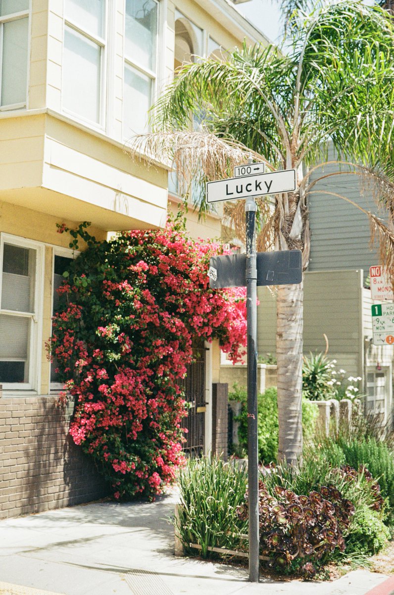 Brandon Hook tweet media