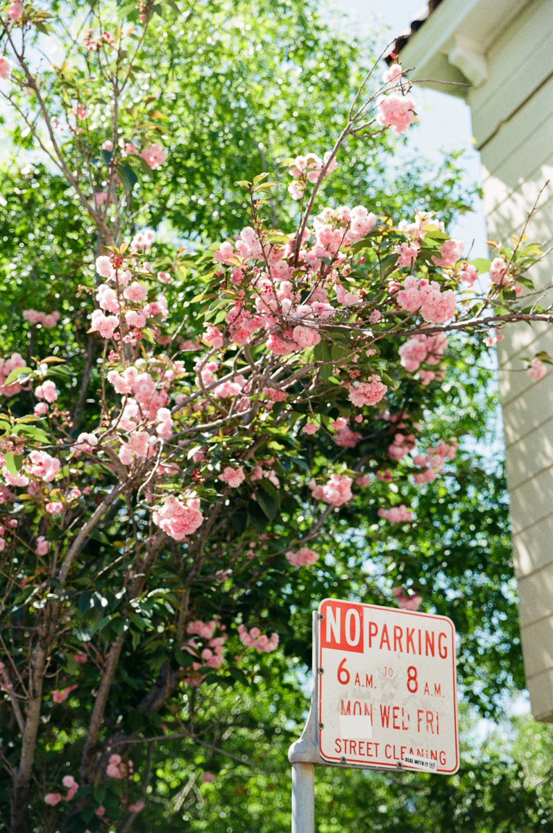 Brandon Hook tweet media