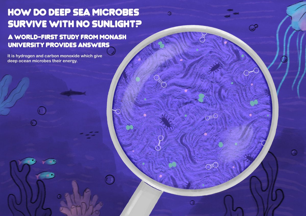 wildechloe3's tweet photo. Editorial no.4 🫧
.
.
.
#art #artwork #artist #illustration #illustrator #editorial #editorialillustration #scienceillustration #scienceeditorial #deepseacreatures #microbes #deepseaillustration #microbesillustration #wildechloeart #mixedmedia #procreate #doublepagespread https://t.co/MBJtsvKmHi