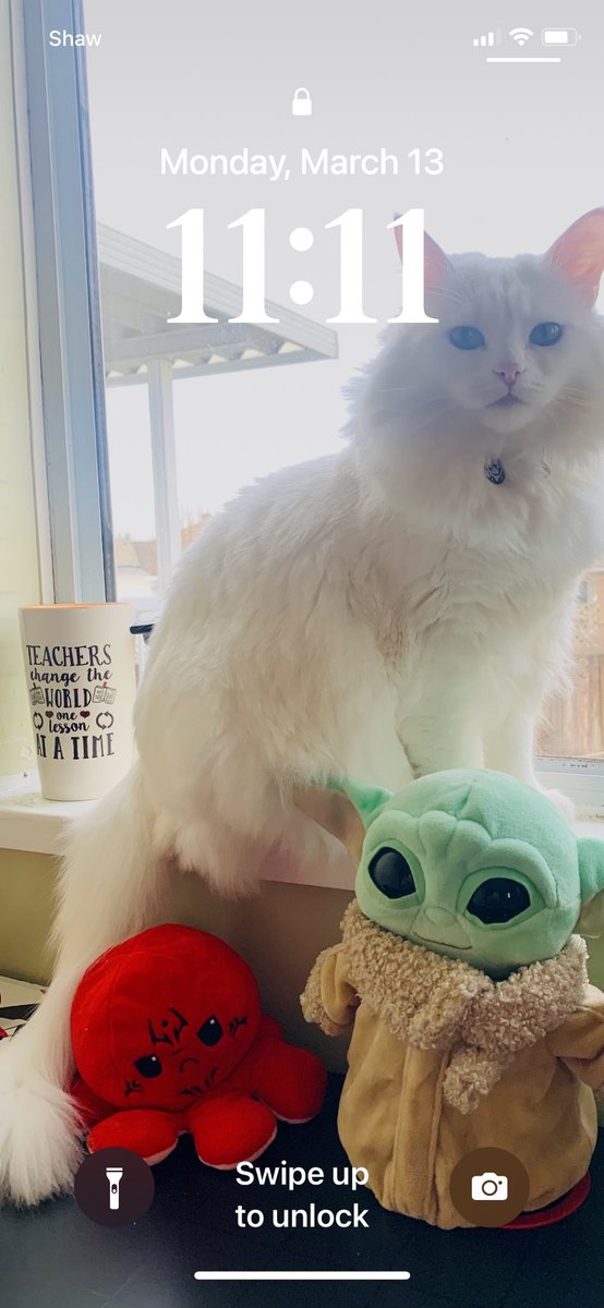 ☕️ልጠልክ امن ਅਮਨ 🍷🐾11:11 ✨ tweet media