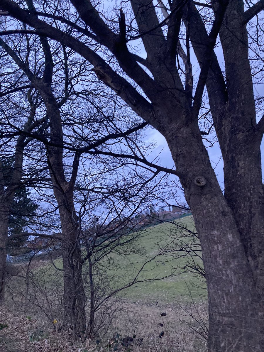 Joanne Malin tweet media