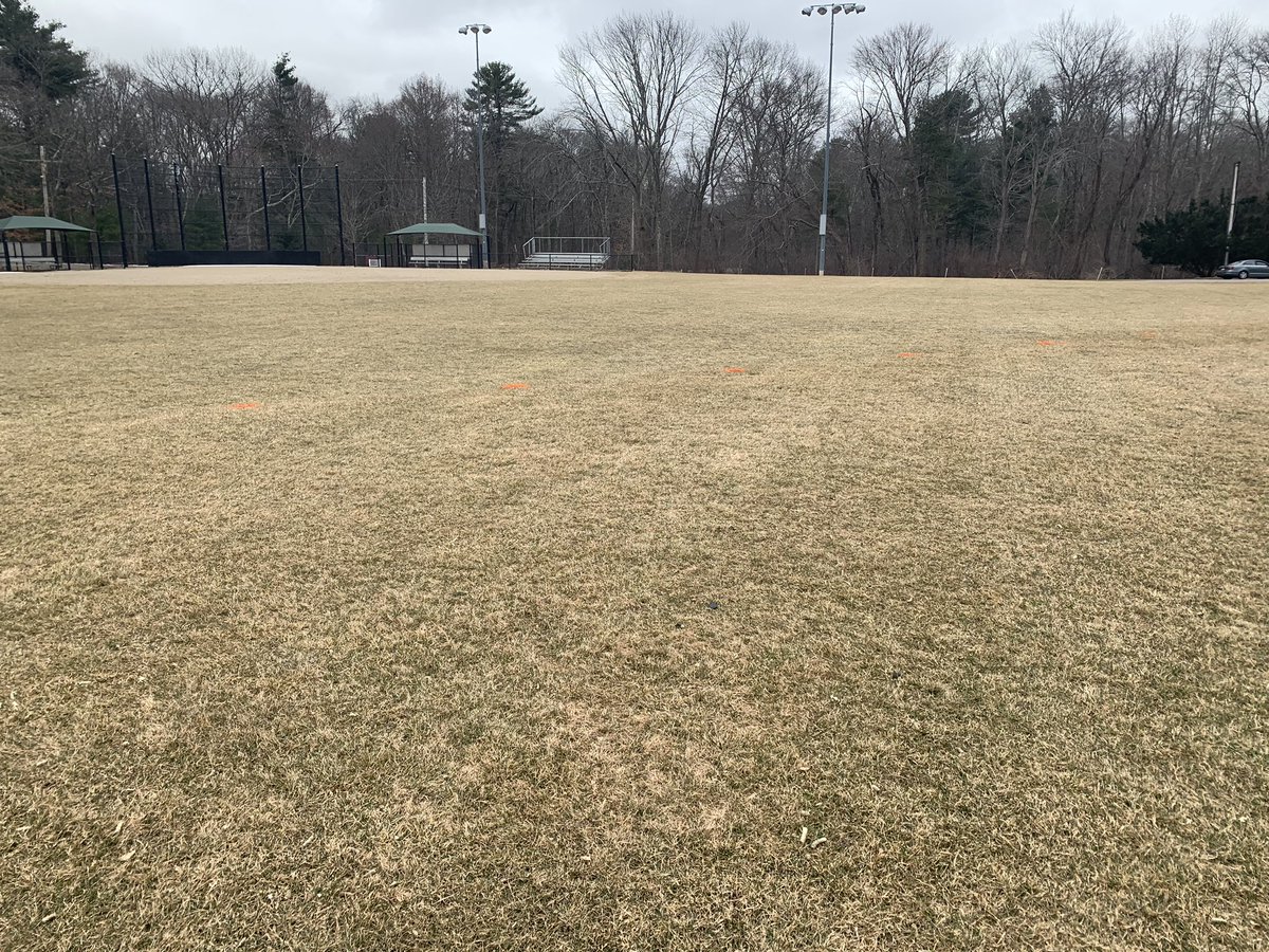 BPolimer's tweet photo. One field cleaned of goose poop and dead material before the snow. Also found some of the outfield fence anchors. #springeventually https://t.co/oJpweDpQDC