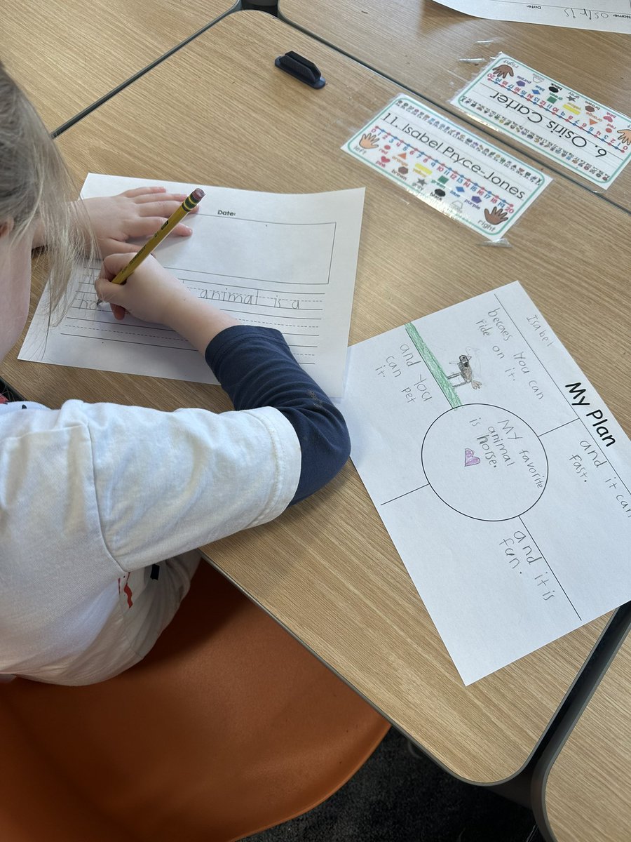 Sara Costa tweet media