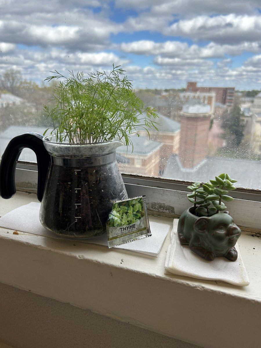 Connor Slamowitz tweet media