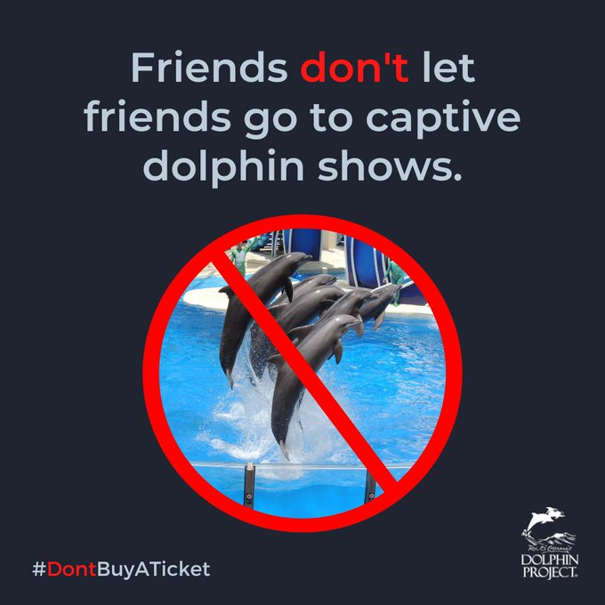 When we know better, we do better. Education, outreach and positive action are crucial to ending demand for the captive dolphin trade: bit.ly/DolphinActivist 
#DolphinProject