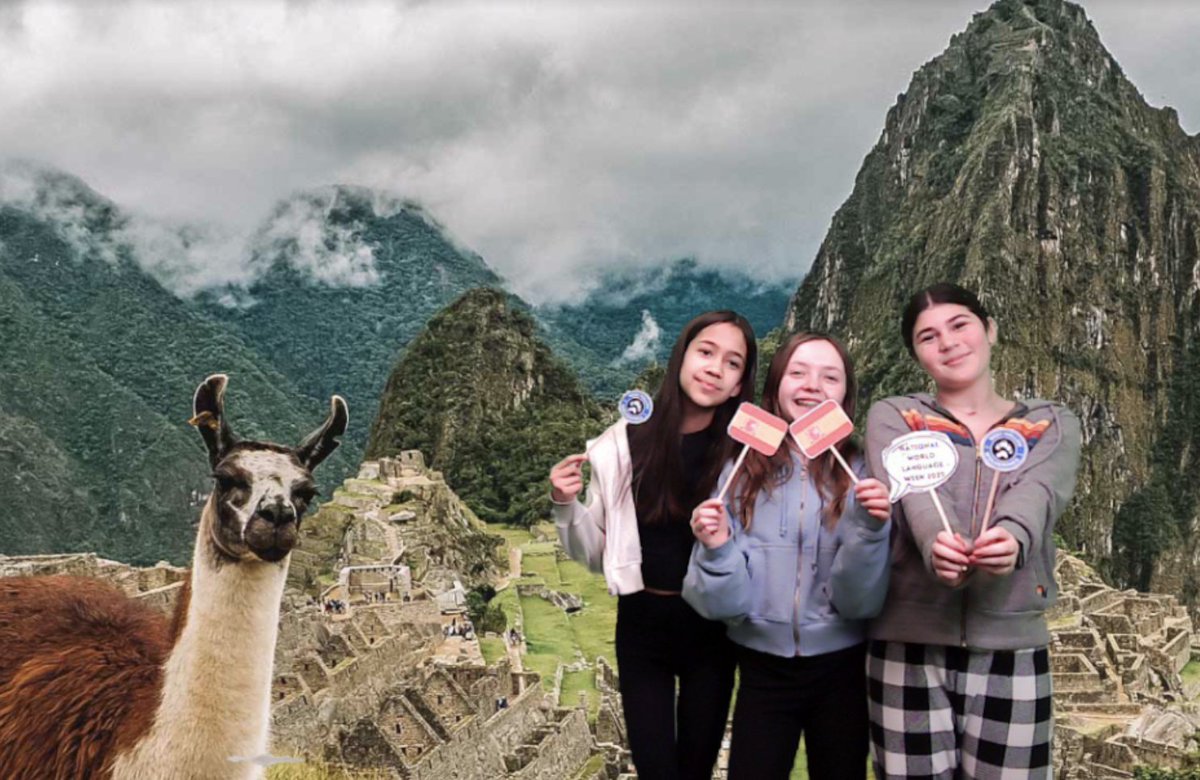 Half Hollow Hills CSD tweet media