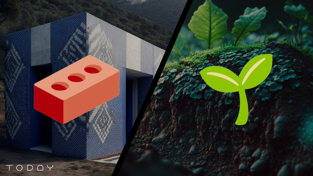 🧱/🌿 = 🧠

Ok you builders &amp; growers of TODAY, let yourselves be known! 

Stand out as one of our most DEDICATED &amp; we will add 20 of you to our AL for the Mythic Seed mint (2nd one)

Instructions:
✅ Add 🧱/🌿 to your name
✅ Invite a friend
✅ Retweet this
✅ Follow us

We'll