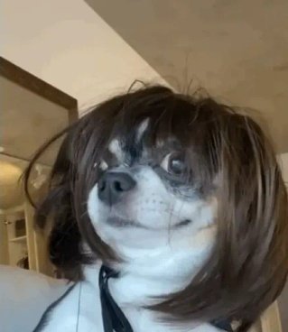 LEGITCALCULATOR. JUJU PUNTER 1 on Twitter: "@TalentedFBG I suppose don