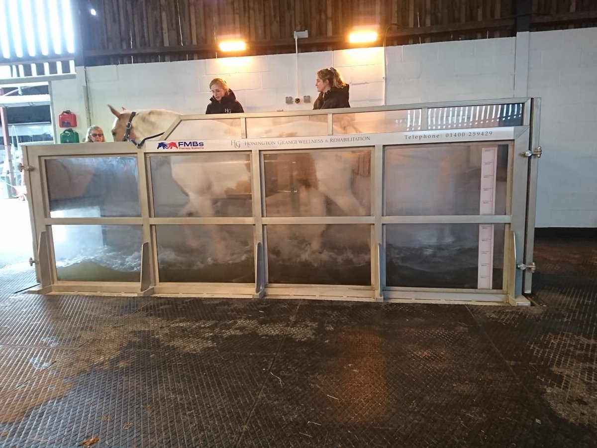 SignsXGrantham's tweet photo. Something a little different today as we fitted graphics to a therapeutic water treadmill for rehabilitating horses. #bespoke #signage #solutions #grantham #newark #boston #bourne #spalding https://t.co/EEJMF6co3P