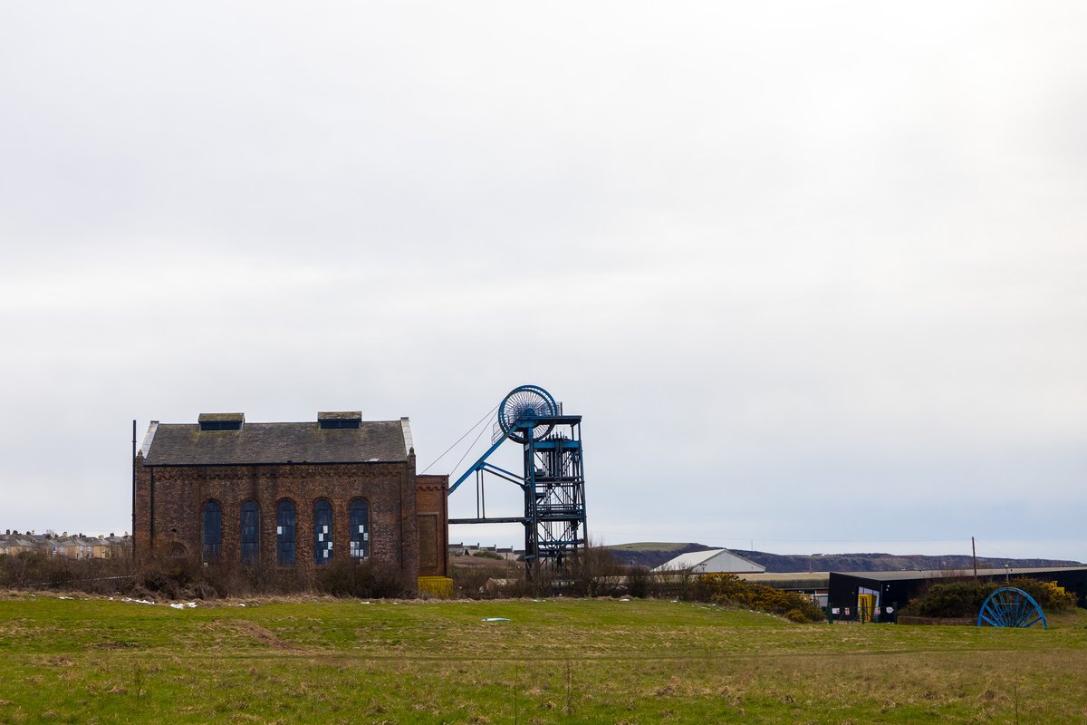 Cameron Ross Hall tweet media